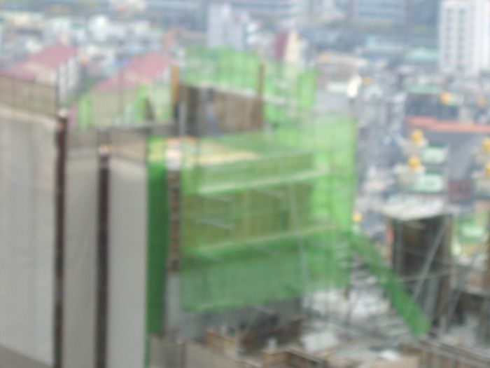 SA508801.JPG